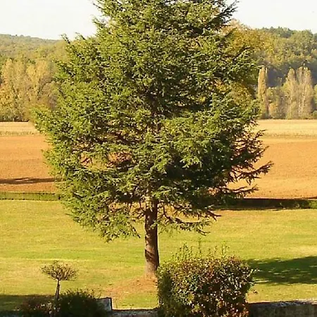 Chateau La Fleunie - Et Restaurant Hotell 4*