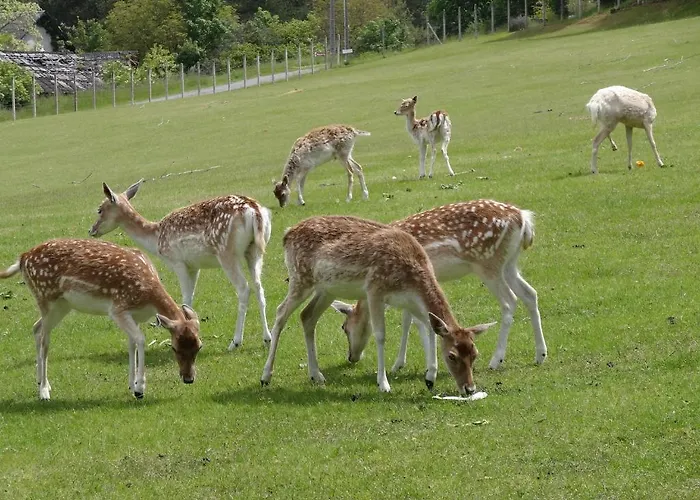 Hotel Chateau La Fleunie - Et Restaurant
